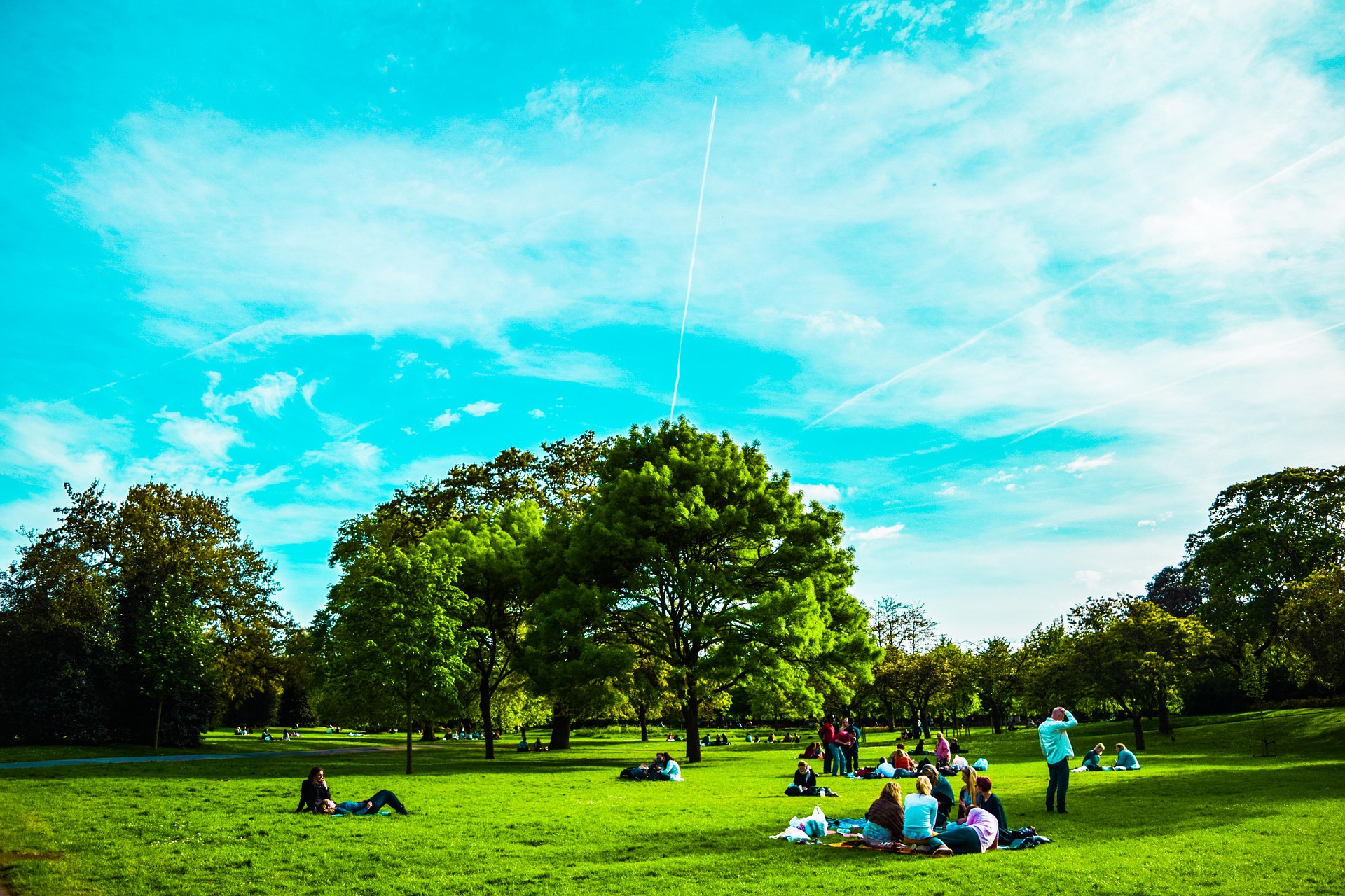 london picnic2.jpg